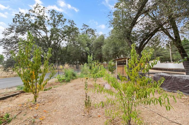 3671 Coon Hollow Rd, Placerville, CA 95667