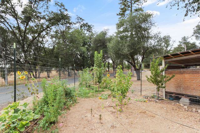 3671 Coon Hollow Rd, Placerville, CA 95667