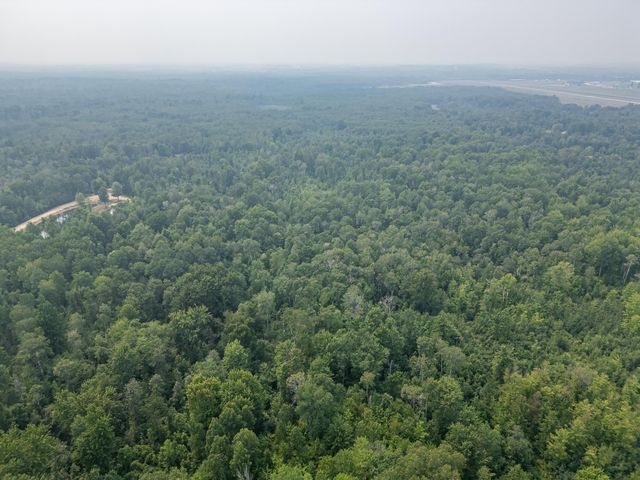 10 Acres Easton Road, Gladwin, MI 48624