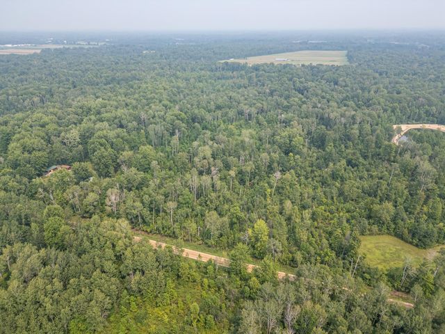 10 Acres Easton Road, Gladwin, MI 48624