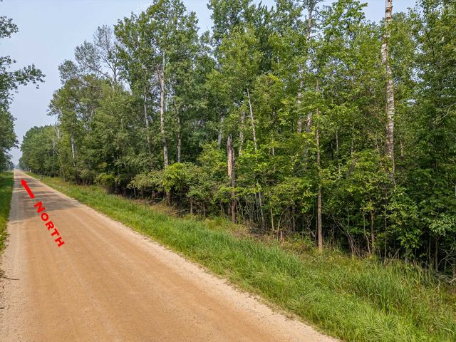 10 Acres Easton Road, Gladwin, MI 48624