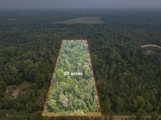 10 Acres Easton Road, Gladwin, MI 48624