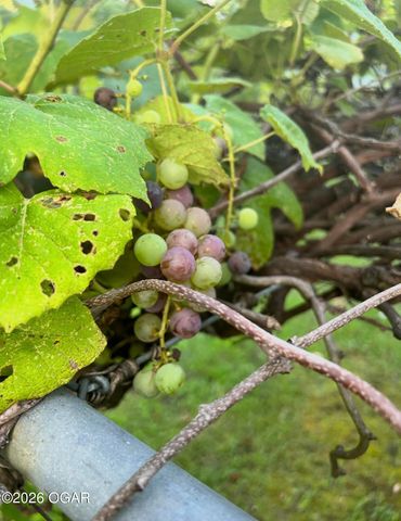 16 Wildwood Drive, Joplin, MO 64804