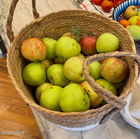 16 Wildwood Drive, Joplin, MO 64804