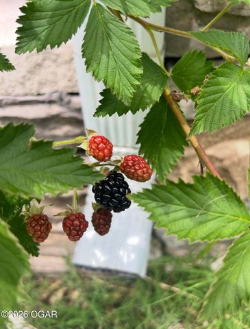 16 Wildwood Drive, Joplin, MO 64804