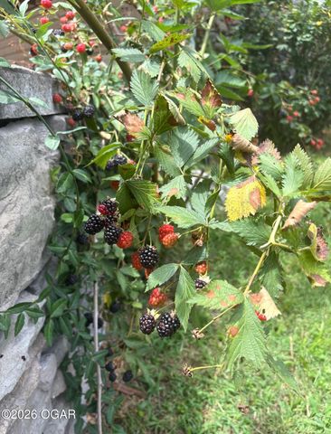 16 Wildwood Drive, Joplin, MO 64804