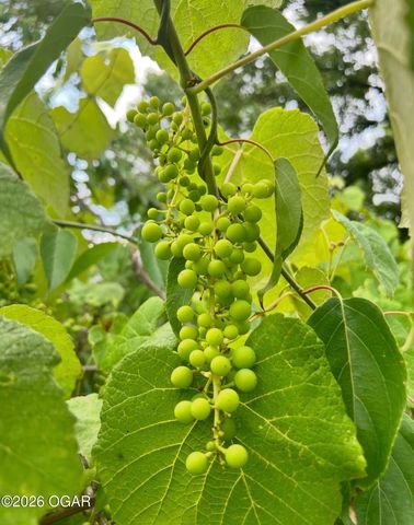 16 Wildwood Drive, Joplin, MO 64804