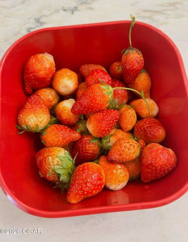 16 Wildwood Drive, Joplin, MO 64804