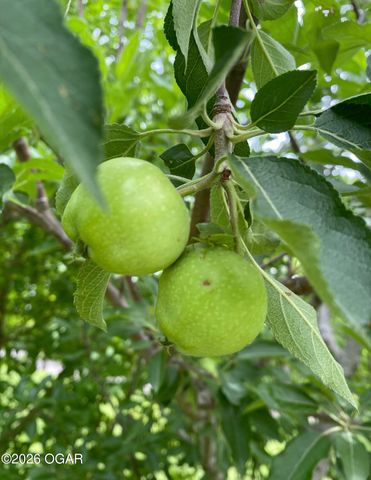 16 Wildwood Drive, Joplin, MO 64804