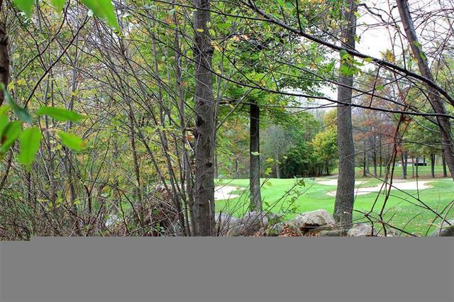 15378 Aw Tillinghast Circle, Augusta, MI 49012