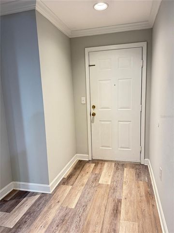 18421 BRIDLE CLUB DRIVE 18421, Tampa, FL 33647