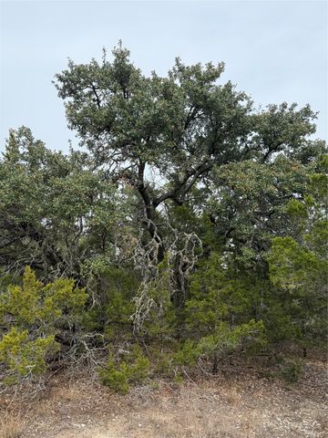 TBD Lot 1 Pump Station RD, Wimberley, TX 78676