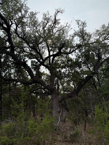 TBD Lot 1 Pump Station RD, Wimberley, TX 78676