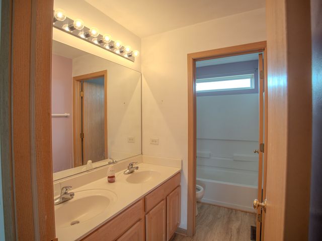 21300 Pasture Side Trail, Matteson, IL 60443