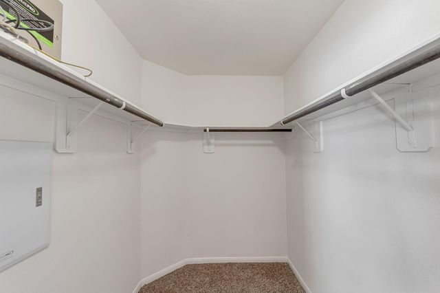 23219 Campwood Terrace Lane, Katy, TX 77493