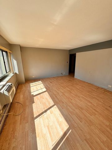 7337 S South Shore Drive 408, Chicago, IL 60649
