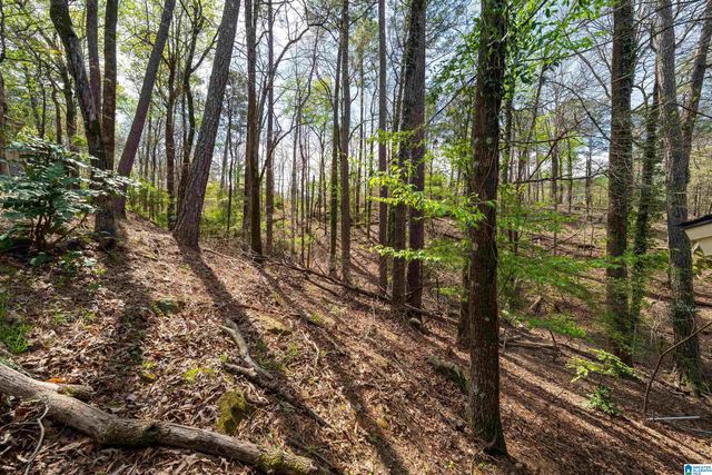 2435 WINE RIDGE DRIVE, Birmingham, AL 35244