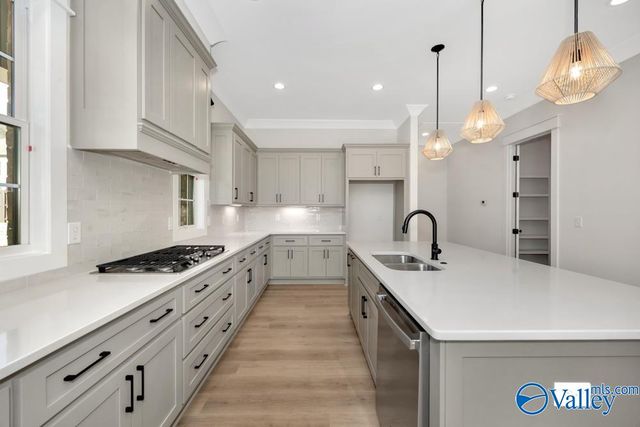 41 Belle River Way, Gurley, AL 35748