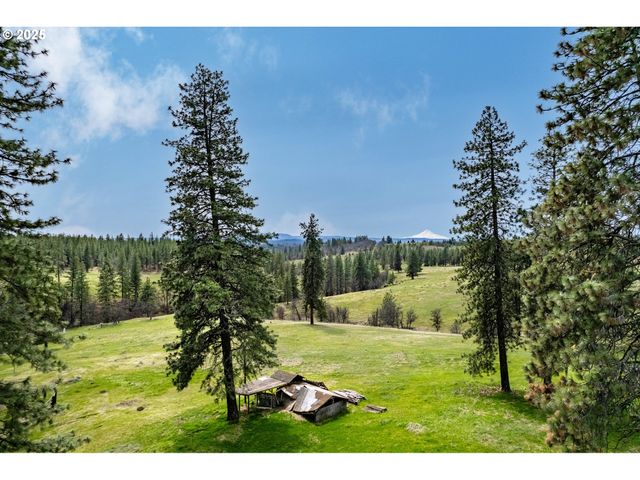 959 ZELINSKI Rd, Goldendale, WA 98620