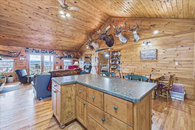 810 Belltown Road, Tellico Plains, TN 37385