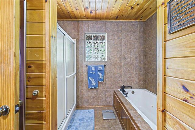 810 Belltown Road, Tellico Plains, TN 37385