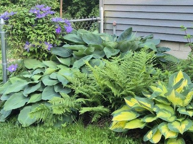 N2493 Kunz Road, Fort Atkinson, WI 53538