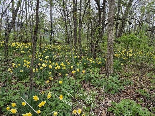 N2493 Kunz Road, Fort Atkinson, WI 53538