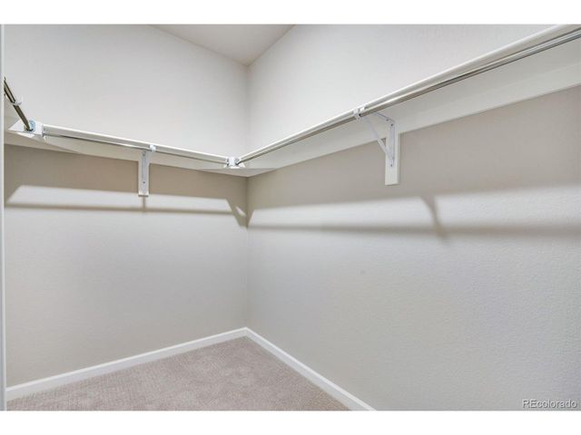 8572 Eckley St, Littleton, CO 80125