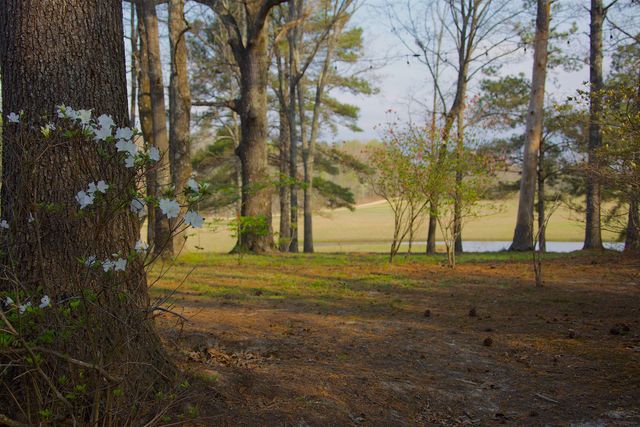 3490 YAGER RD, Moscow, TN 38057