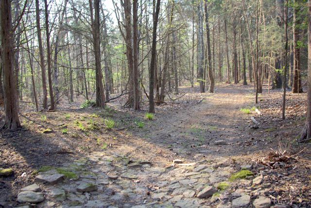 3490 YAGER RD, Moscow, TN 38057