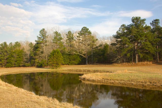 3490 YAGER RD, Moscow, TN 38057