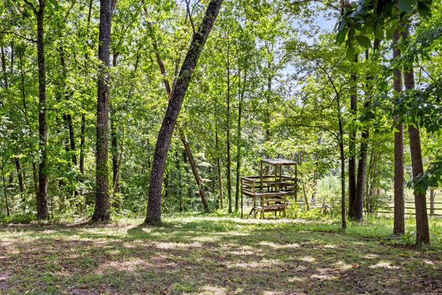 61 S Middleview Drive, Ringgold, GA 30736