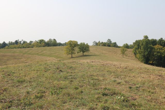 1272-X Moorefield Road, Carlisle, KY 40311