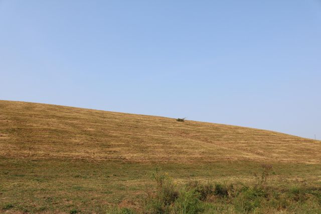 1272-X Moorefield Road, Carlisle, KY 40311