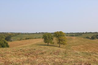 1272-X Moorefield Road, Carlisle, KY 40311