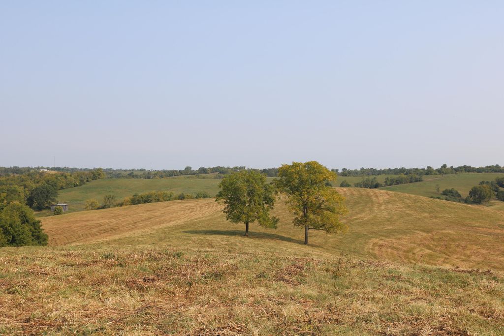 1272-X Moorefield Road, Carlisle, KY 40311