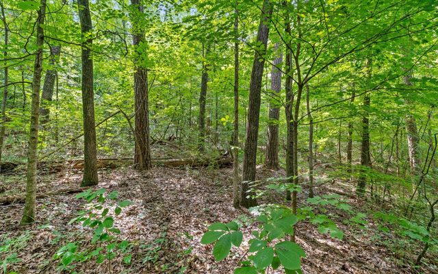 Lot 1 Franklin Drive, Chattanooga, TN 37421