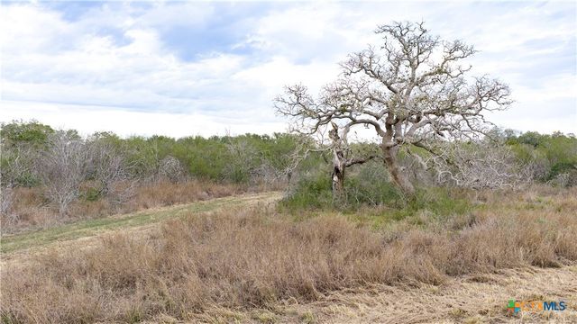 618 McGuill Road, Goliad, TX 77963