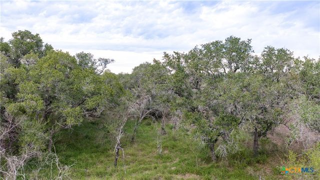 618 McGuill Road, Goliad, TX 77963