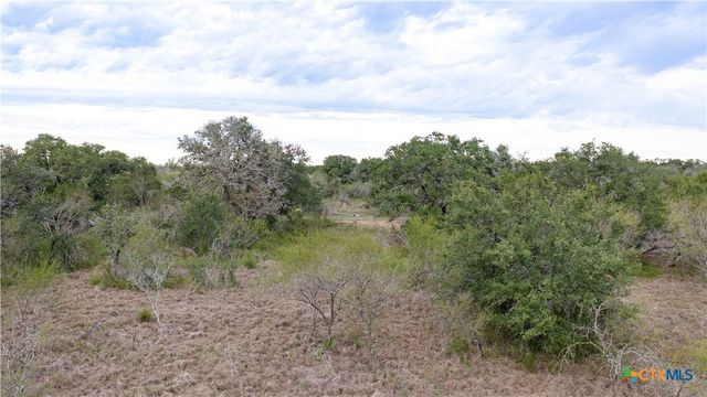 618 McGuill Road, Goliad, TX 77963