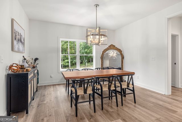 373 McIntosh Road, Clarkesville, GA 30523