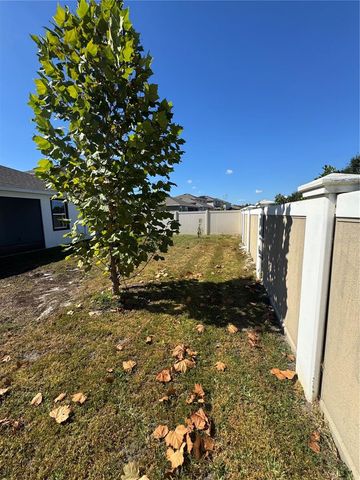 10664 TALLY FAWN LOOP, San Antonio, FL 33576