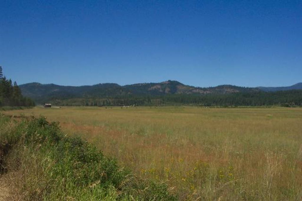 3900 HAVERLAND MEADOWS, Valley, WA 99181 photo 11