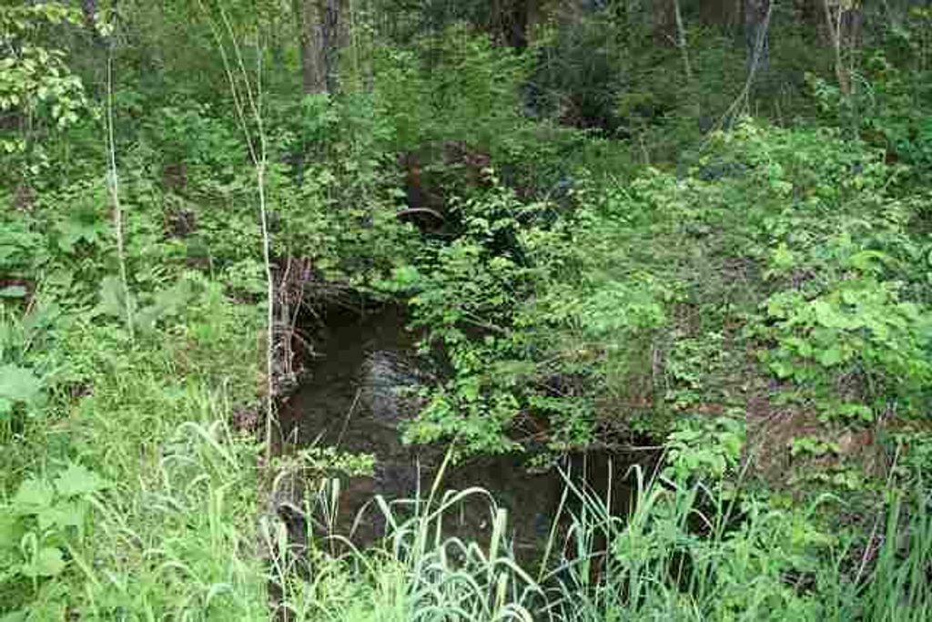 3900 HAVERLAND MEADOWS, Valley, WA 99181 photo 13