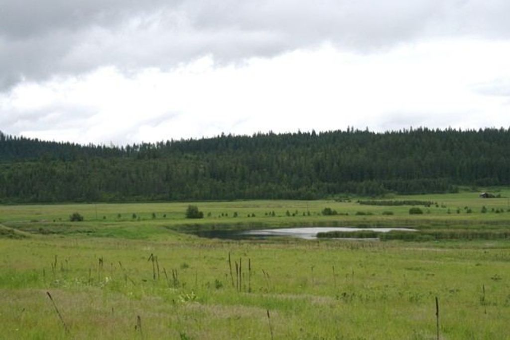 3900 HAVERLAND MEADOWS, Valley, WA 99181 photo 15