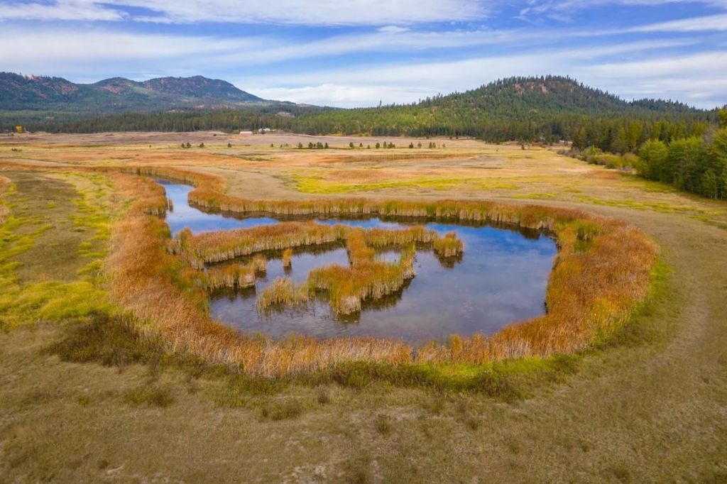 3900 HAVERLAND MEADOWS, Valley, WA 99181 photo 17