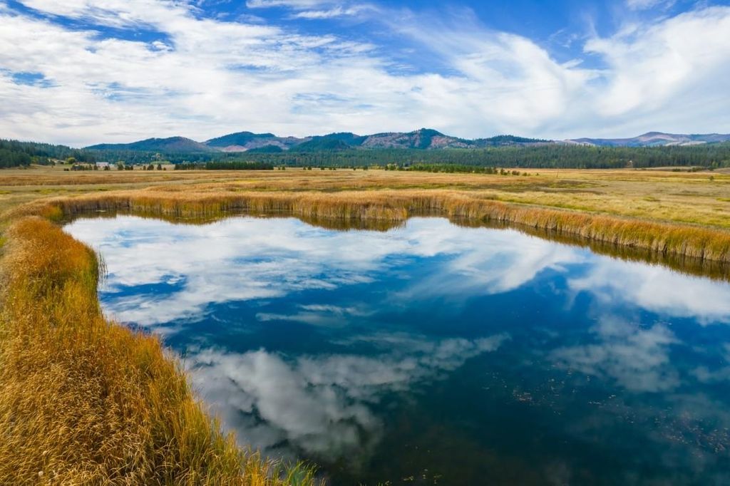 3900 HAVERLAND MEADOWS, Valley, WA 99181 photo 20