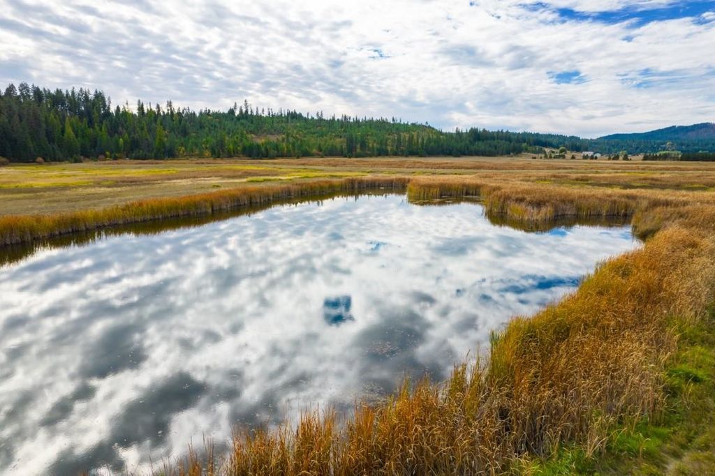 3900 HAVERLAND MEADOWS, Valley, WA 99181 photo 21