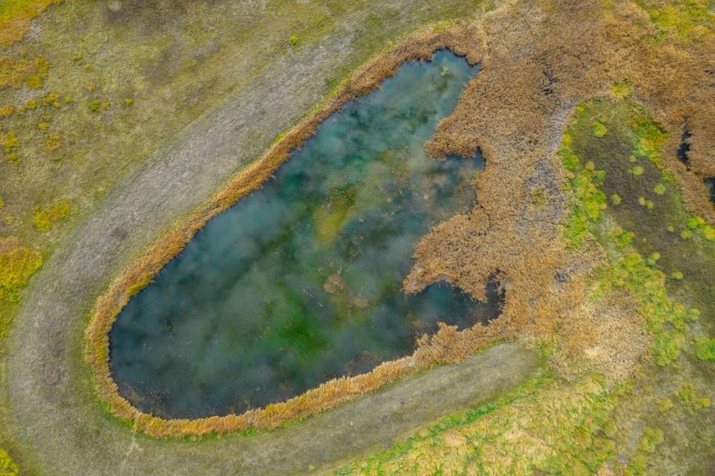 3900 HAVERLAND MEADOWS, Valley, WA 99181 photo 22