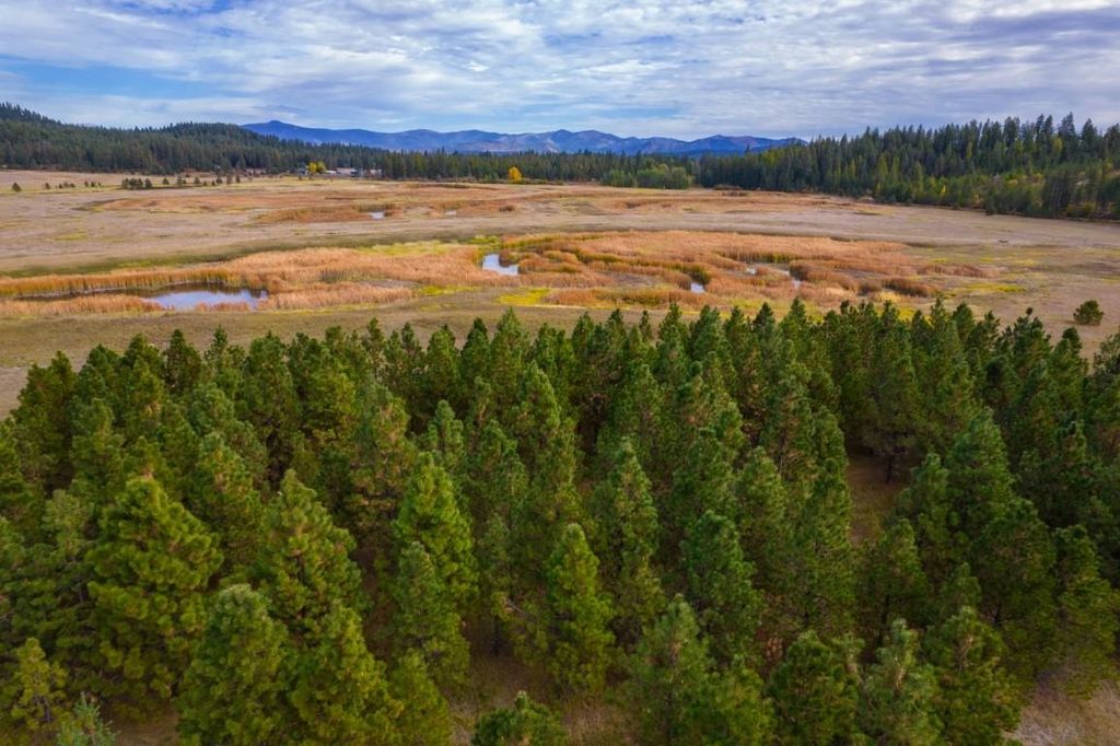 3900 HAVERLAND MEADOWS, Valley, WA 99181 photo 33